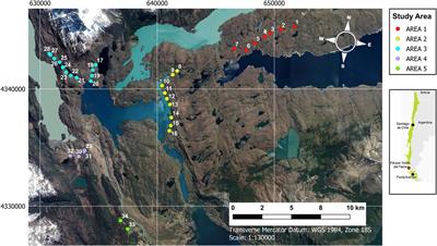 Soil Vulnerability Indicators to Degradation by Wildfires in Torres del Paine National Park (Patagonia, Chile)